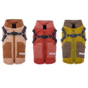 Can pull dog clothes,  keep warm in spring,  teddy bear,  small dog vest