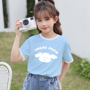 Summer new top loose,  niche,  unique and chic,  western-style half sleeve