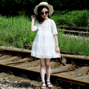 Summer style girls' lace embroidered princess dress A The big boy in the skirt